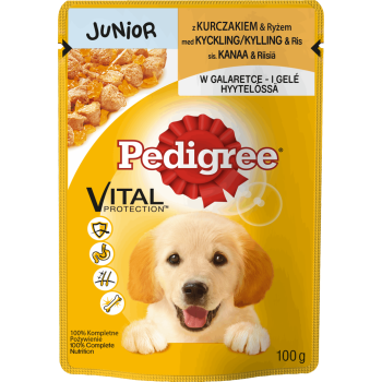PEDIGREE KARMA KURA W GALARECIE JUNIOR SASZETKA  100G