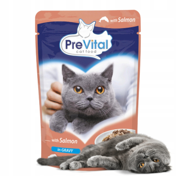 PREVITAL SASZETKA ŁOSOŚ DLA KOTA  100G